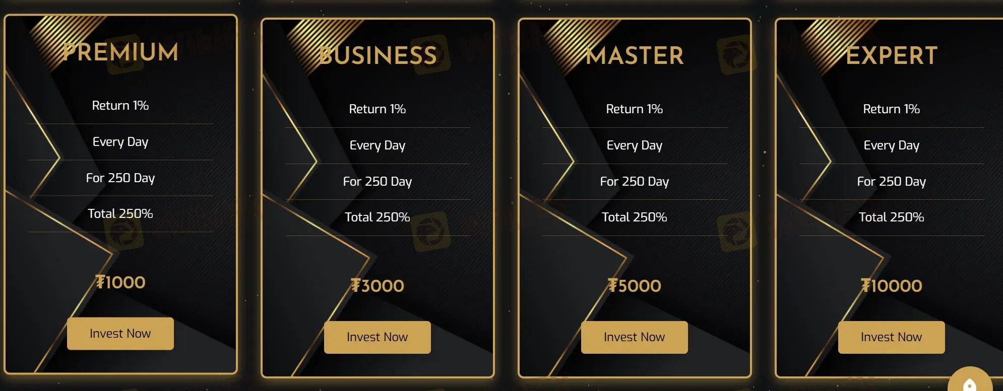 Investment Plans Investment Plans