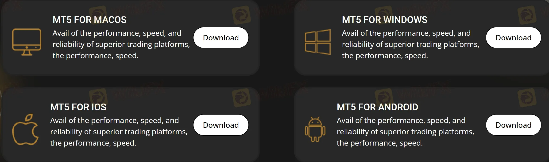 MT5