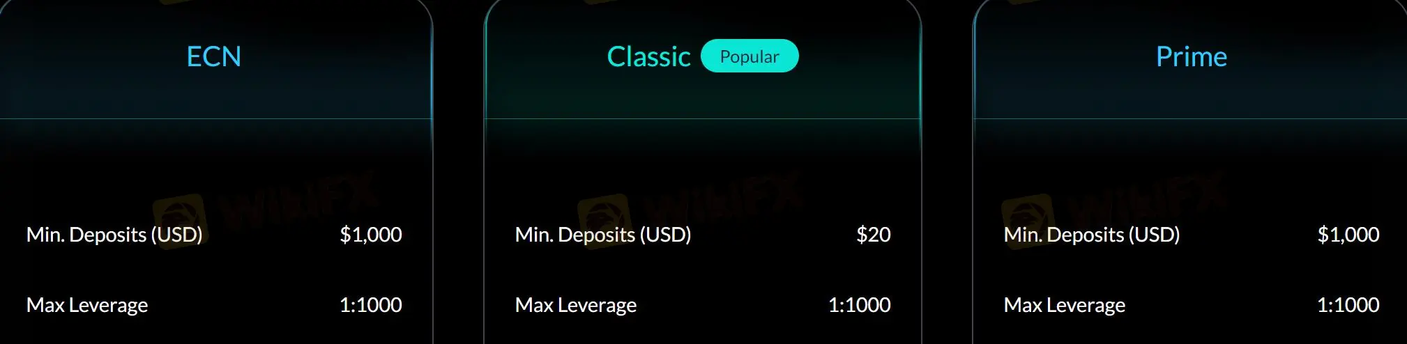 Leverage Leverage