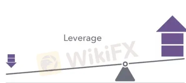 Leverage