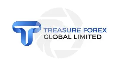 Treasure Forex概述 Treasure Forex概述