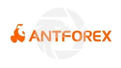 Overview of Antforex