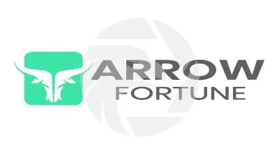 ARROW FORTUNE概述 ARROW FORTUNE概述