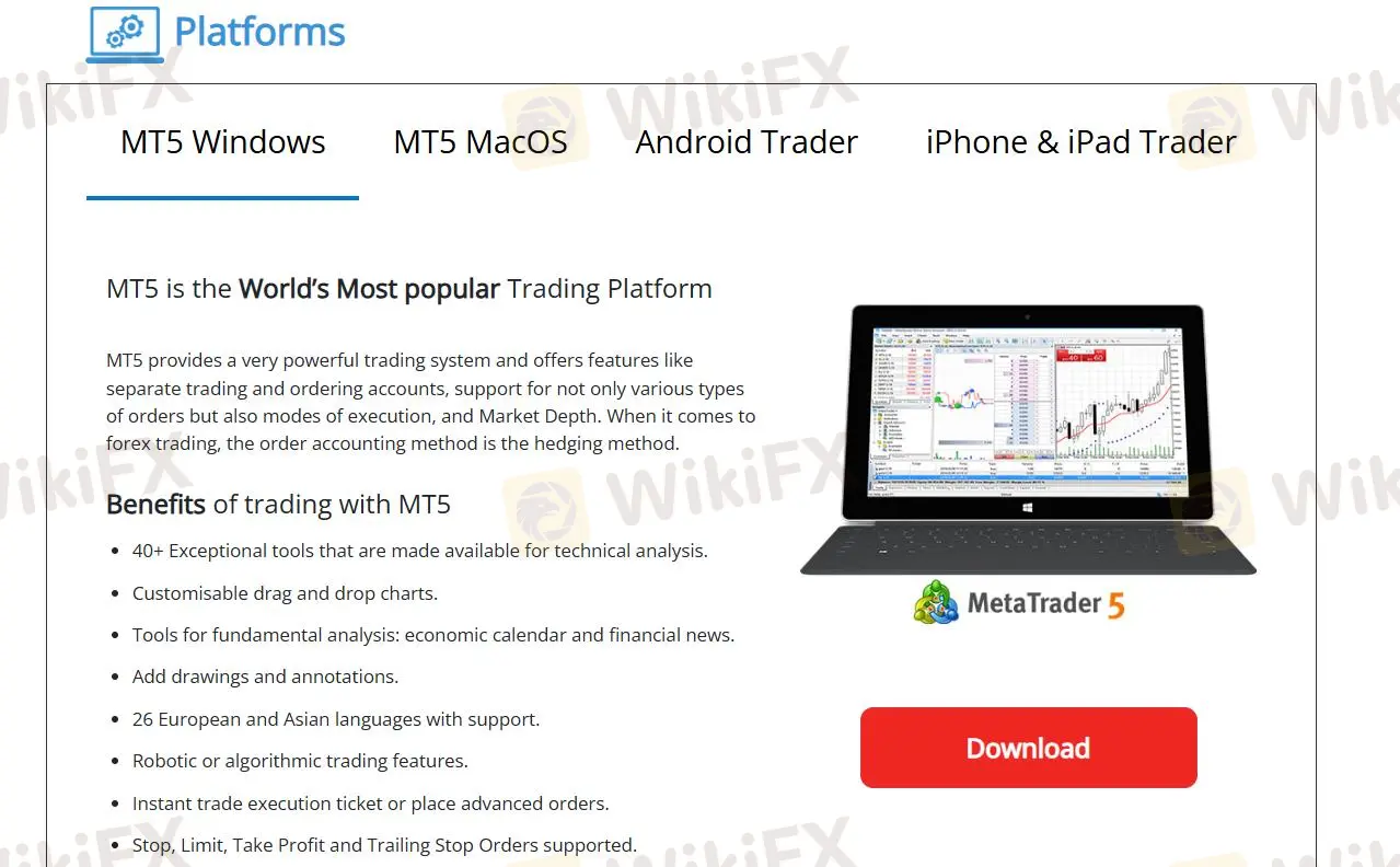 MT5