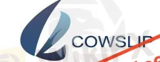 Cowslip Global信息