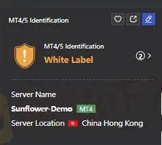 MT4/5白标