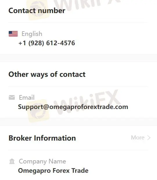 Customer Support Options
