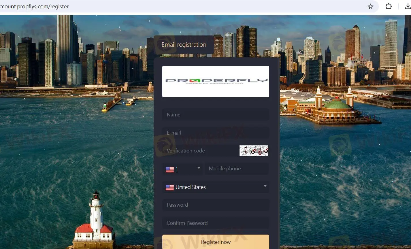 必要な情報を入力 必要な情報を入力