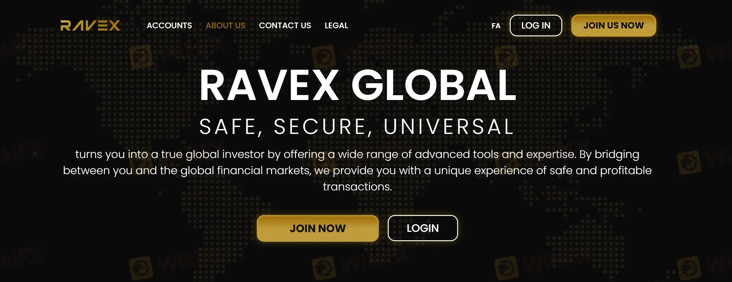 RAVEX GLOBAL Información