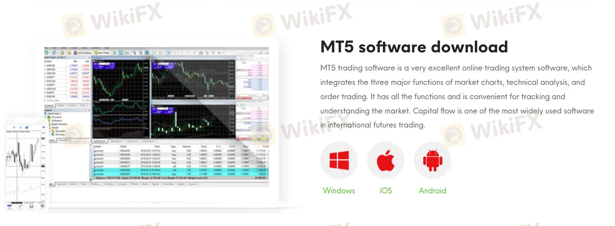 MT5