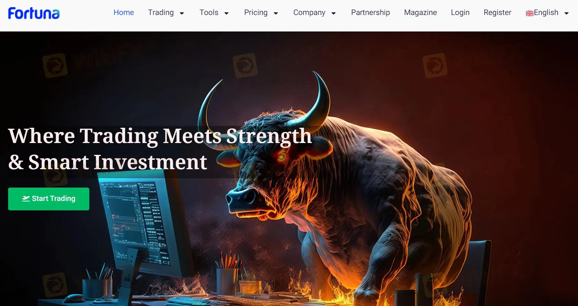 Fortuna Markets المعلومات