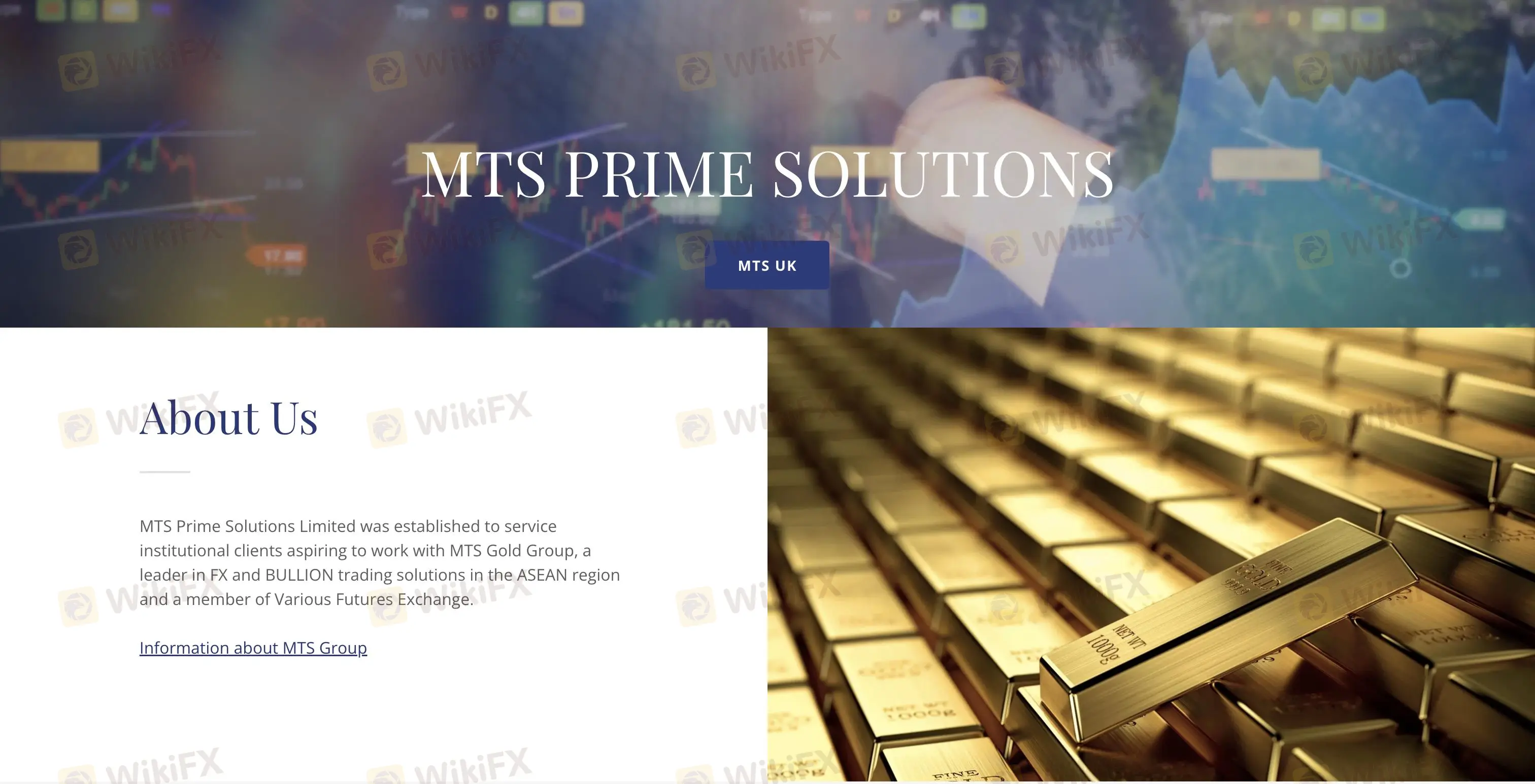 MTS Prime Information
