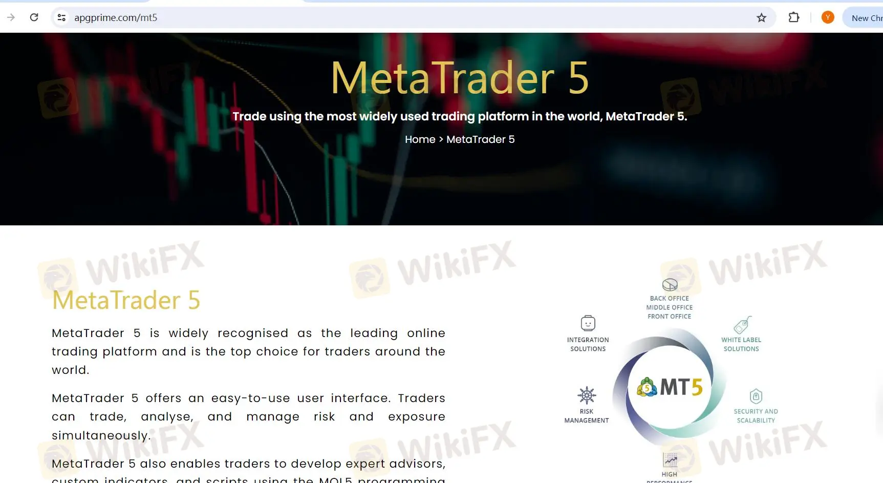 MT5