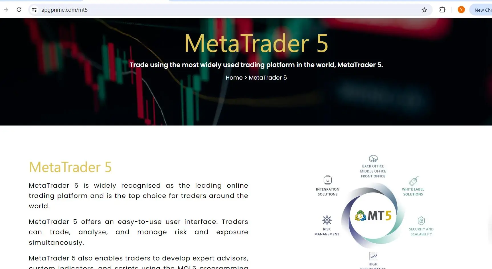MT5