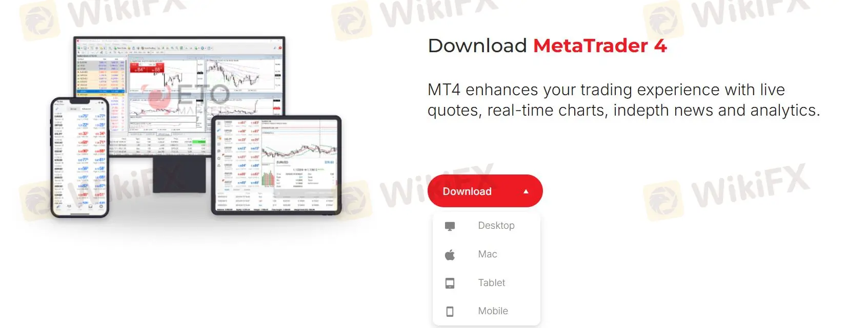 MT4
