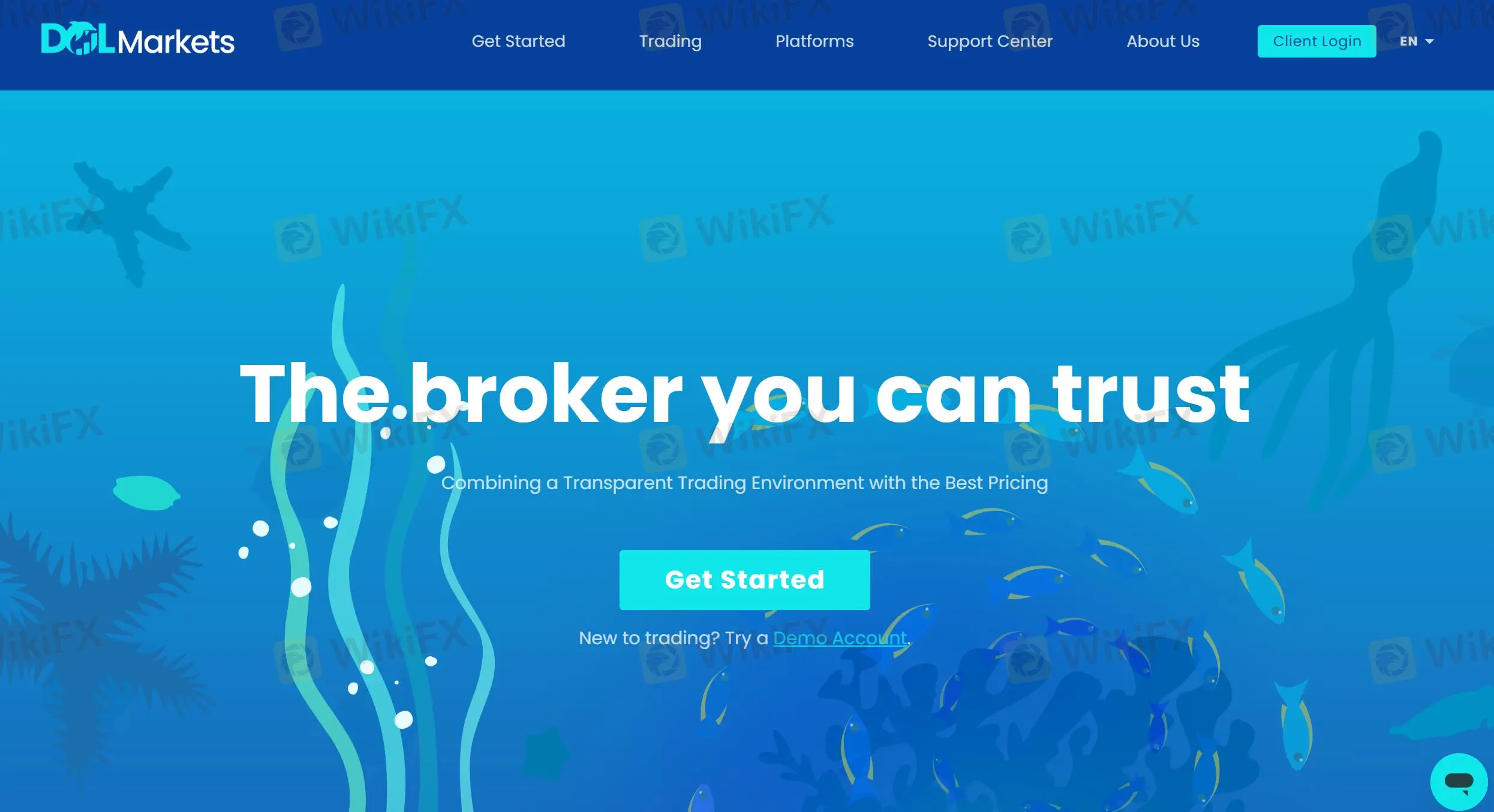 Dolphin Markets Information
