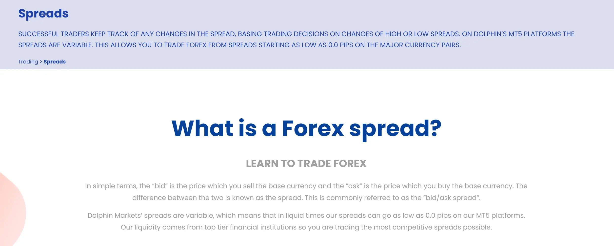 Dolphin Markets Fees