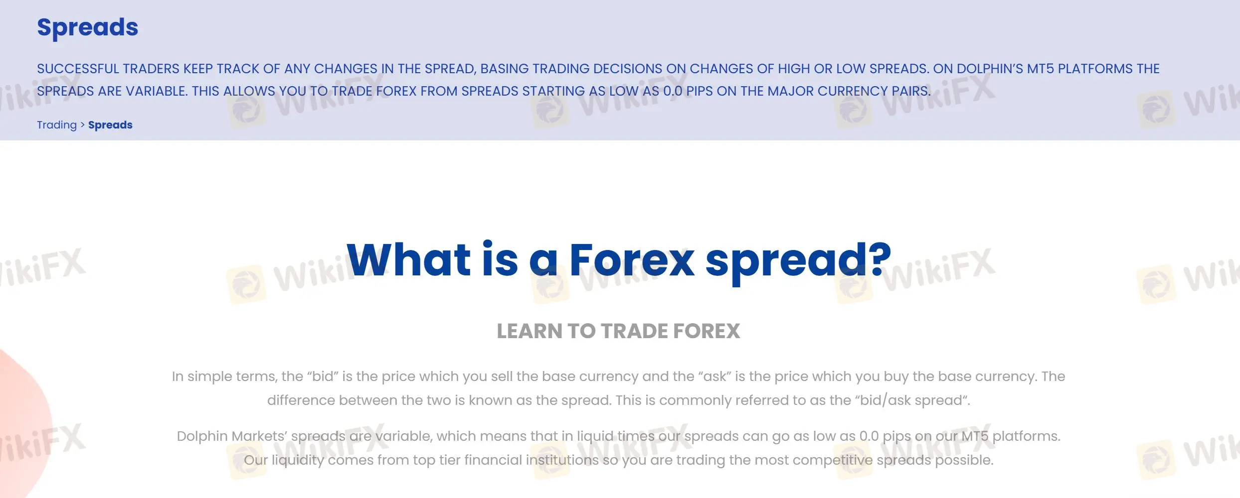 Dolphin Markets Fees