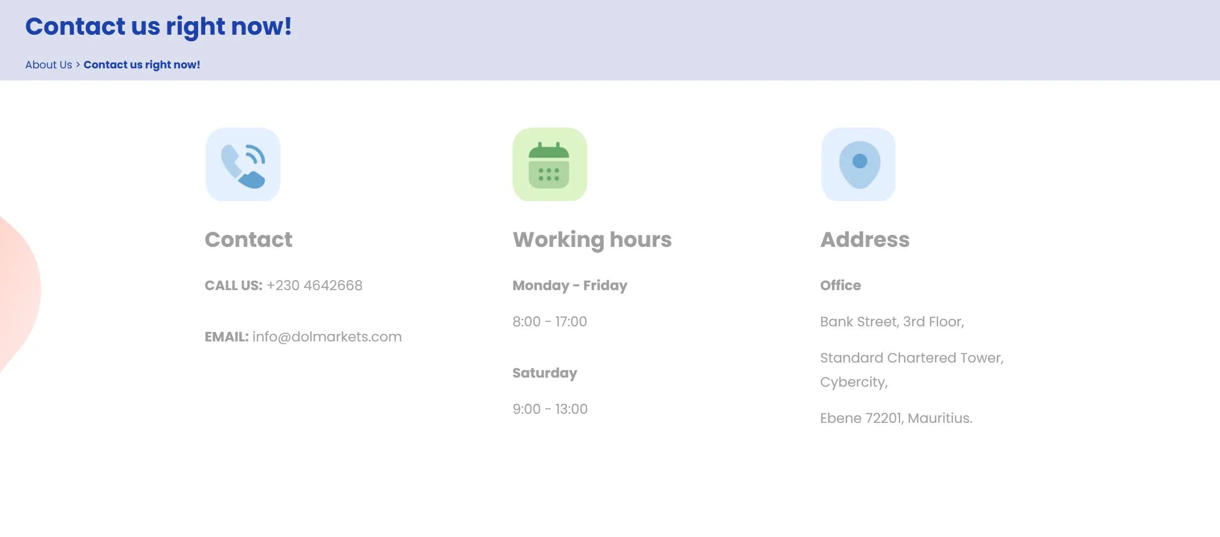 Customer Support Options
