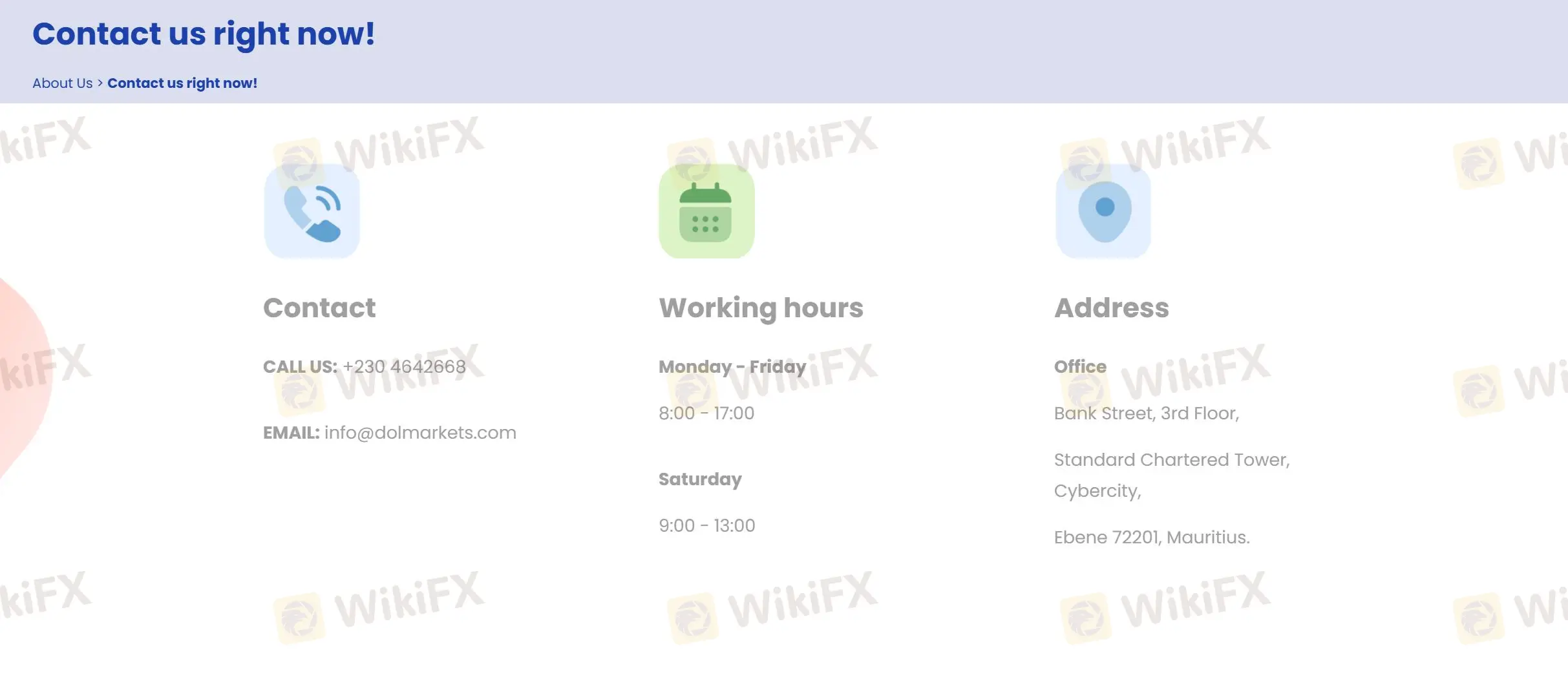 Customer Support Options