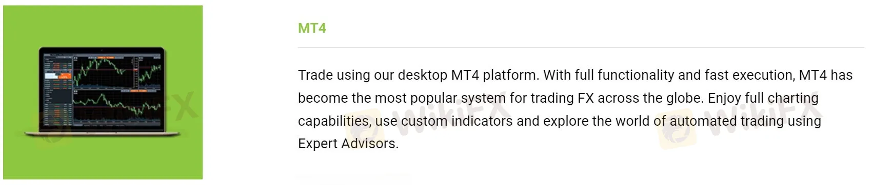 MT4