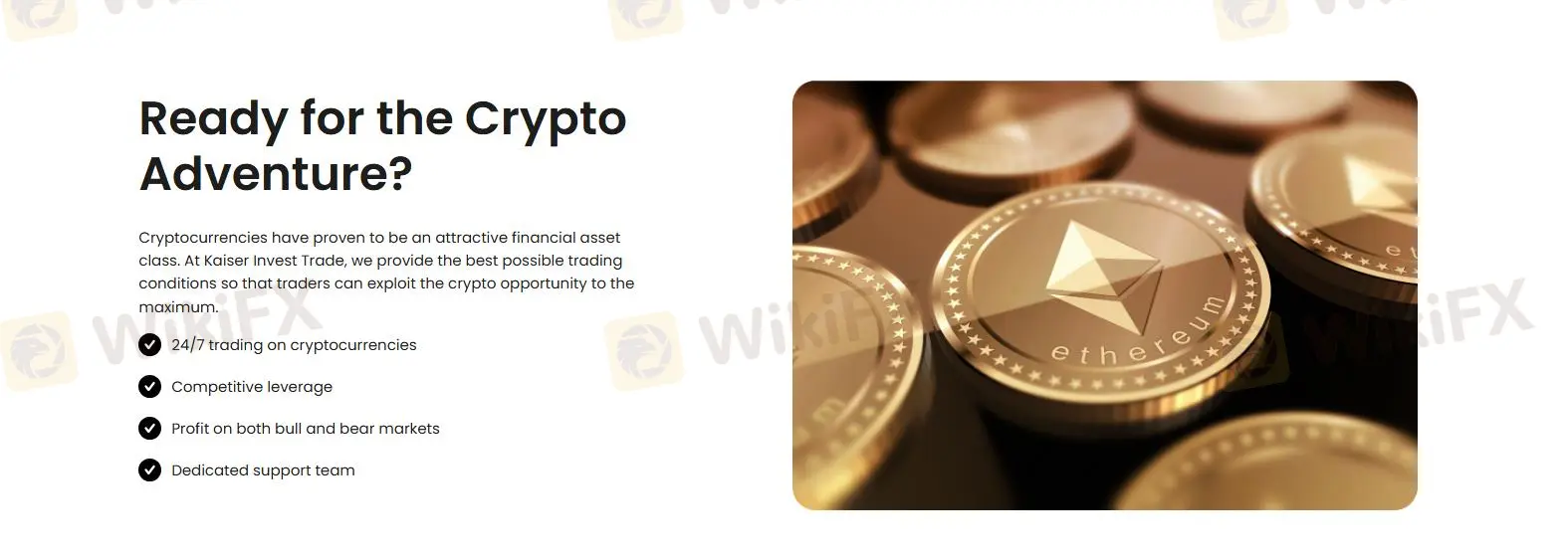 Kaiser Invest Trade에서 무엇을 거래할 수 있나요?