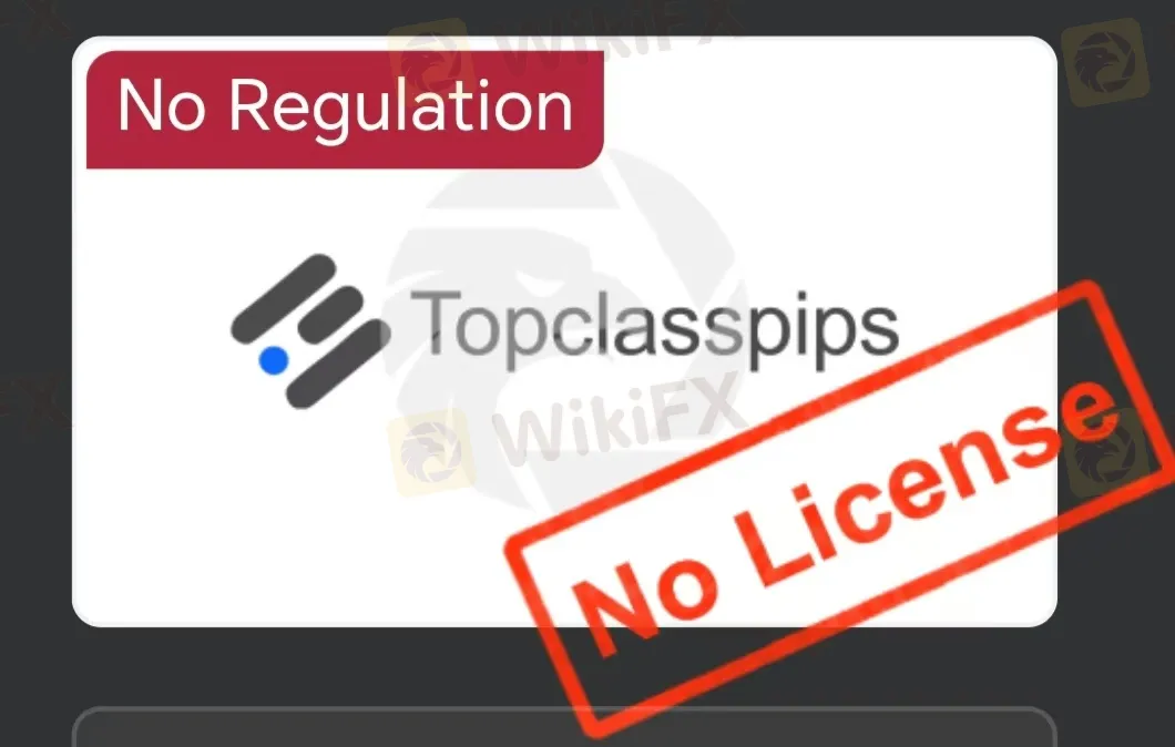 ¿Es Topclasspips Legítimo?