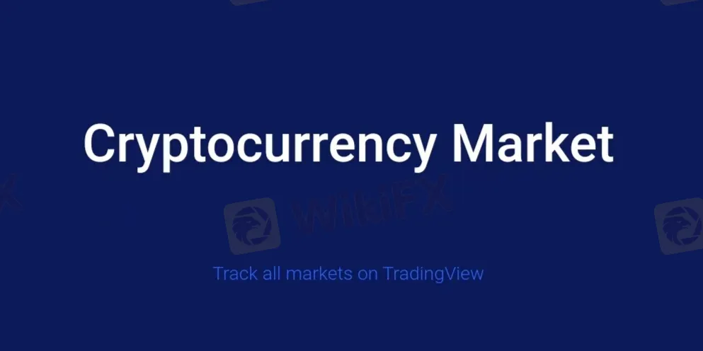 What Can I Trade on Topclasspips?