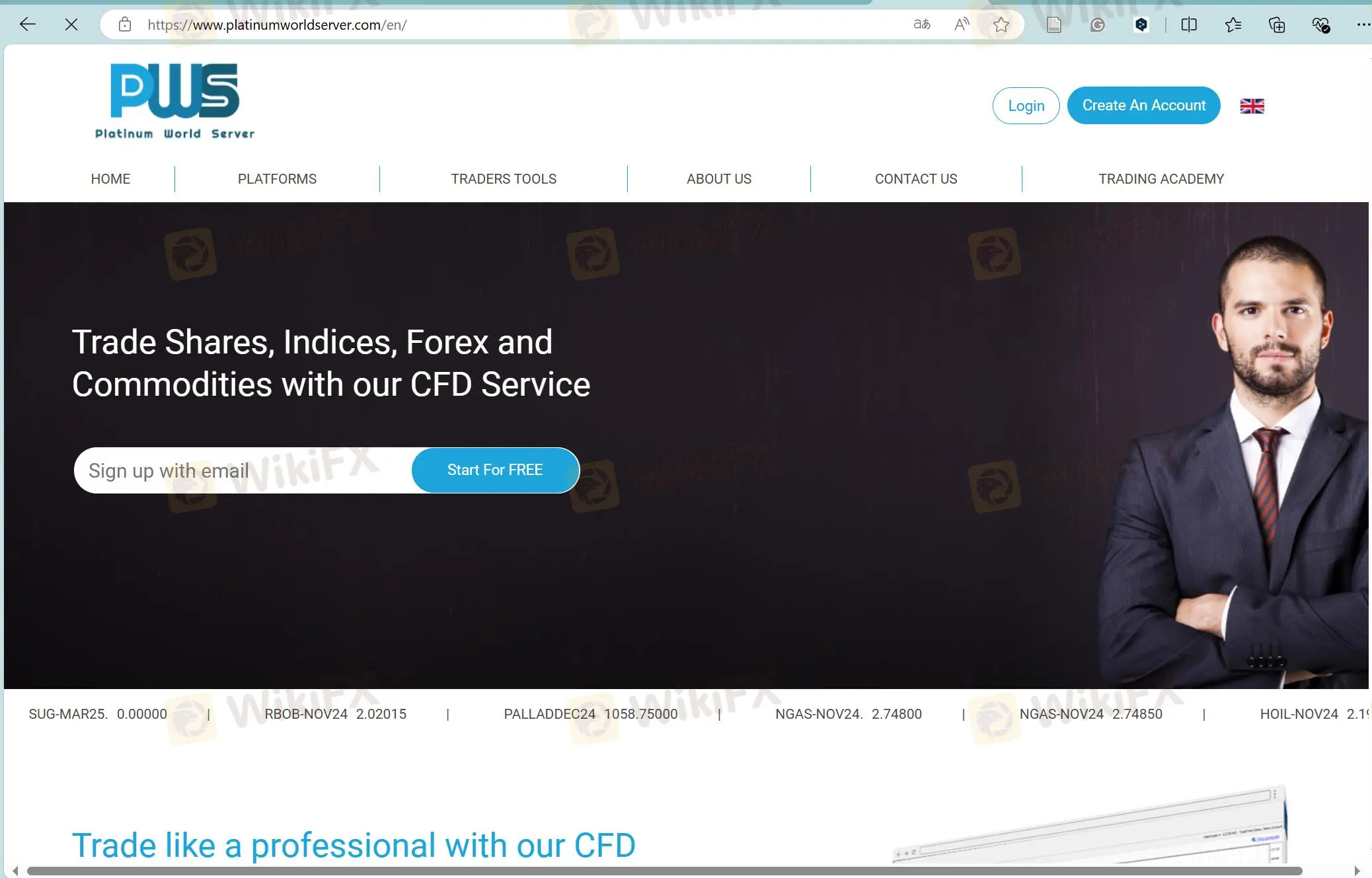 Platinum World Server的主页