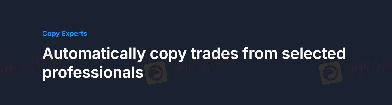Copy Trading Copy Trading