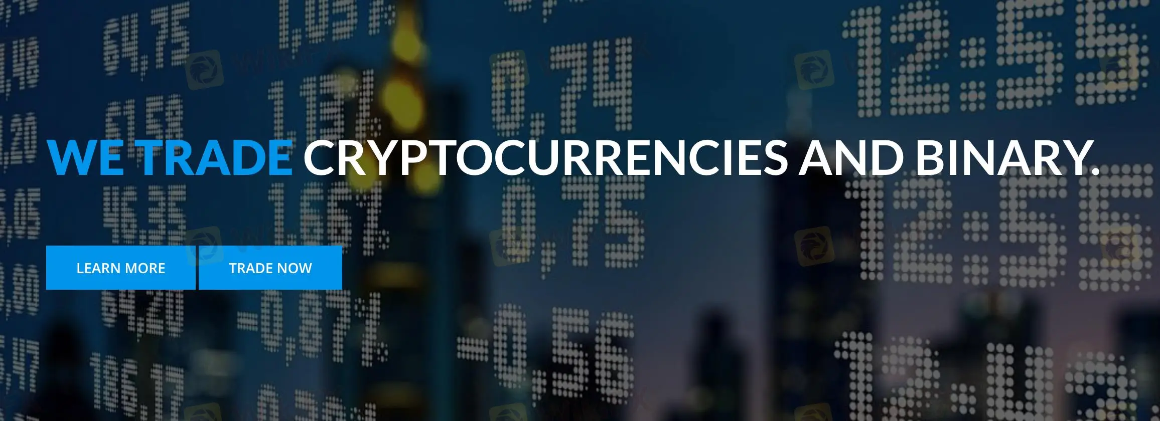 Thông tin Trade Verse Thông tin Trade Verse