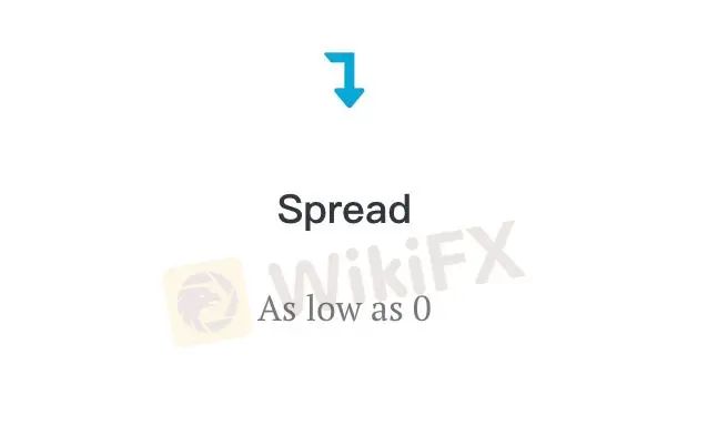 Topwealth Bullion 费用