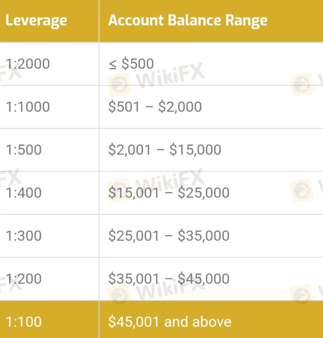 Leverage