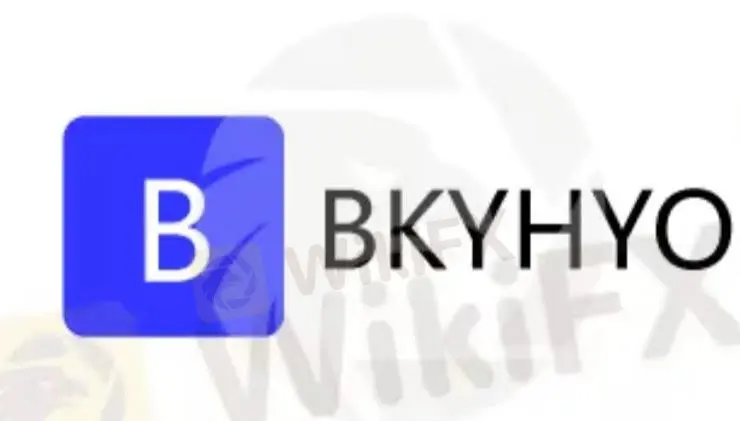BKYHYO 信息