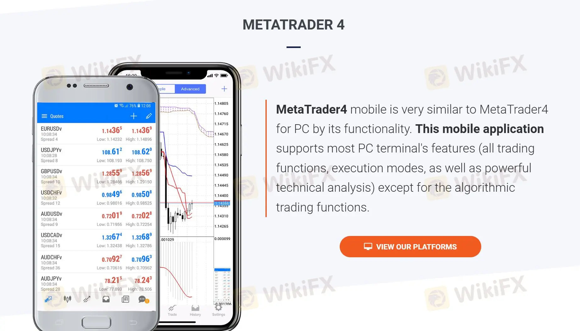 MT4