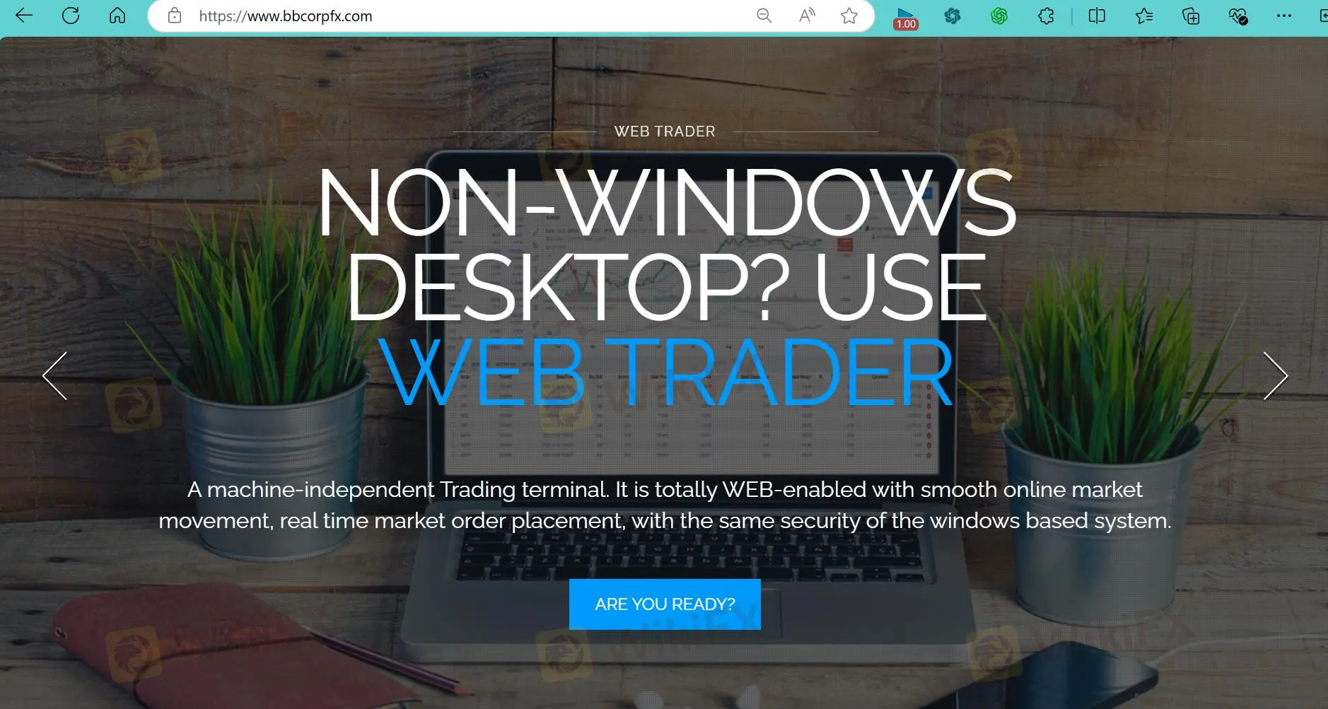 Trang chủ của BB CORP Trang chủ của BB CORP