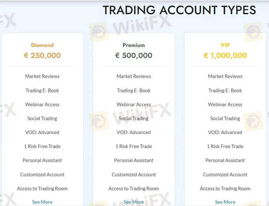 What Can I Trade on Twelve Whales?