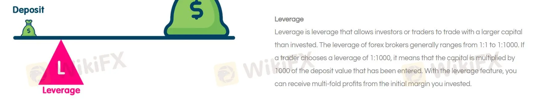 Leverage