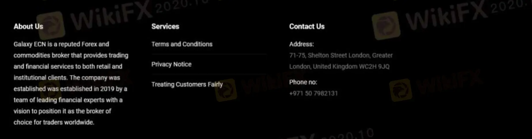 客戶支援選項 客戶支援選項