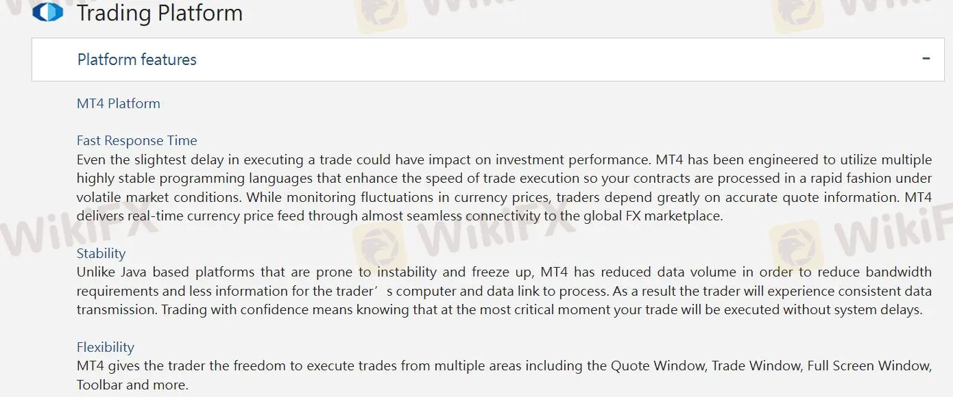 MT4