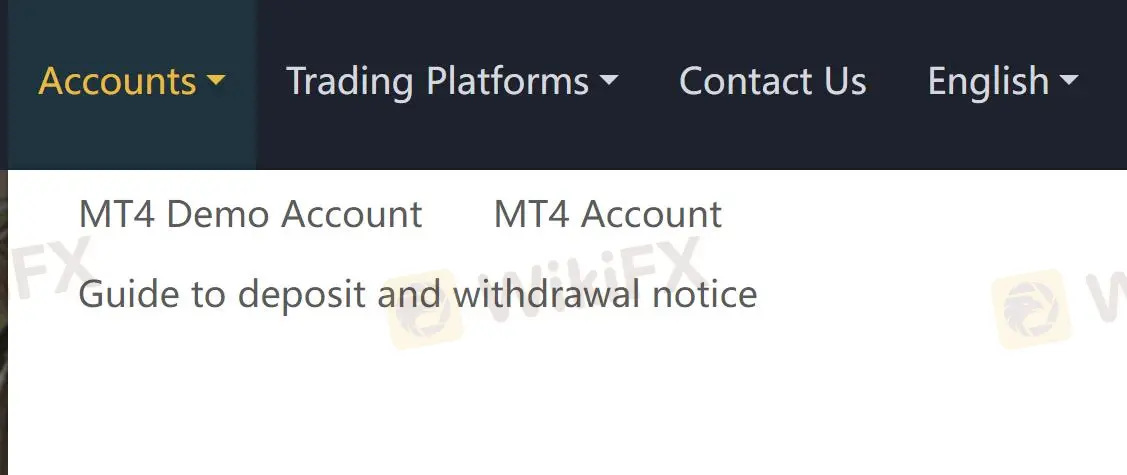 Account Type Account Type