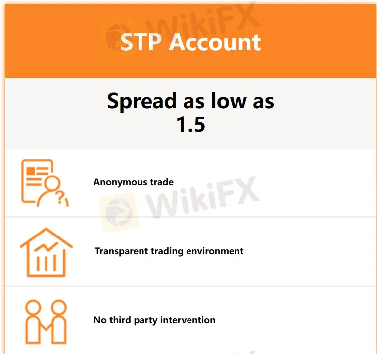 STP账户 STP账户