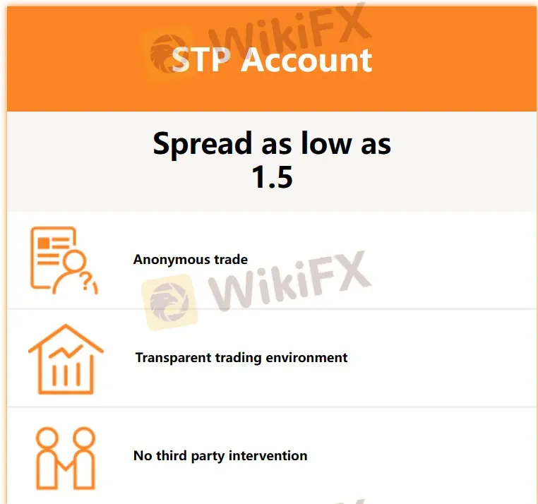 STP account