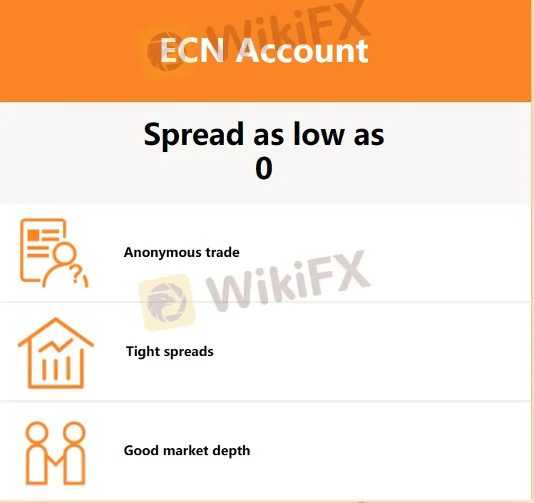 ECN hesabı