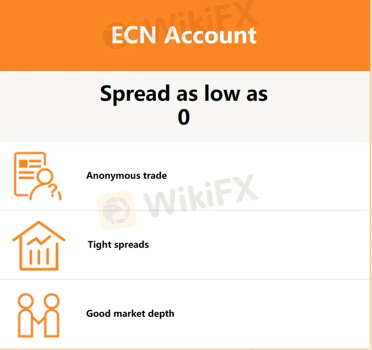 ECN账户 ECN账户