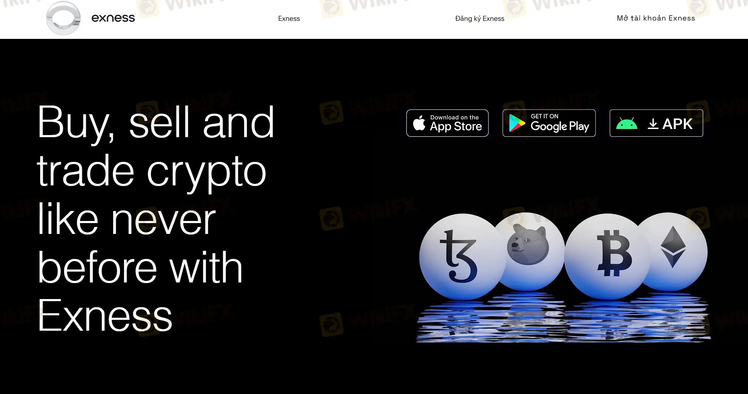 Ex Investment Information
