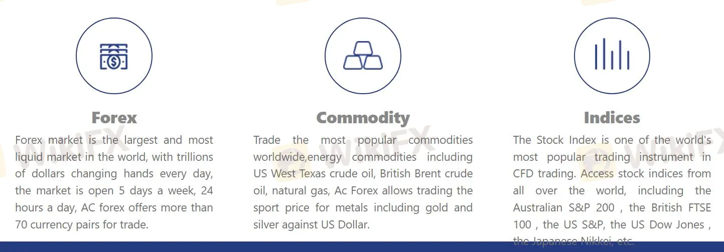 您可以在AC FOREX上交易什么? 您可以在AC FOREX上交易什么?