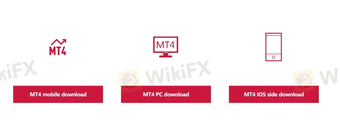 MT4 MT4