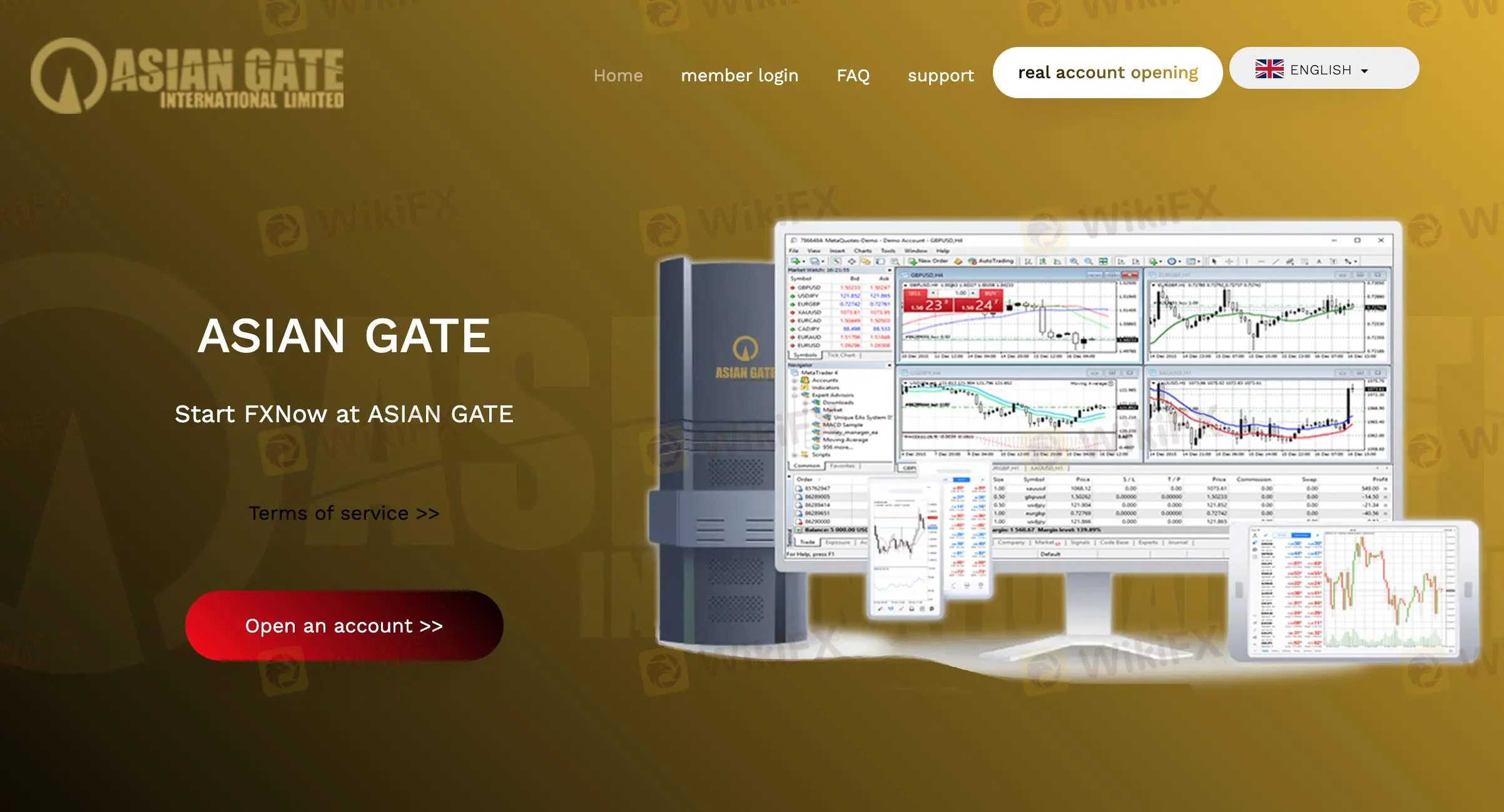 ASIAN GATE的主页