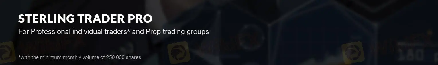 거래 플랫폼